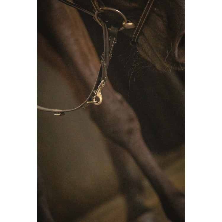 Horse martingale training aid designed to give when the horse gives way.