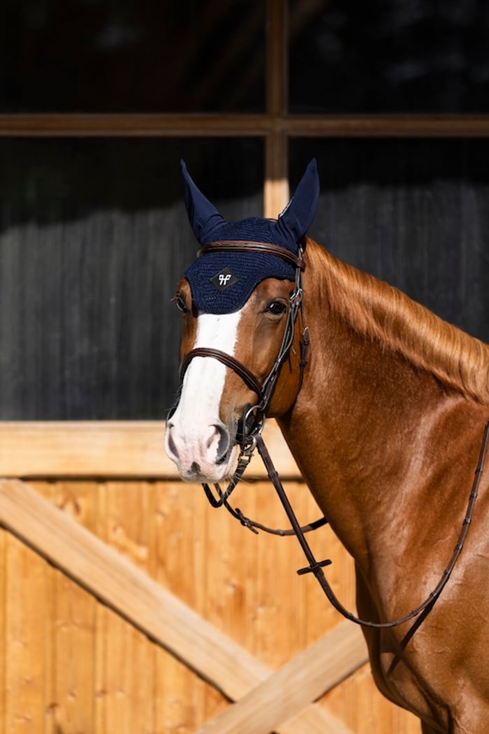 Ergonomic knitted horse ear net blue