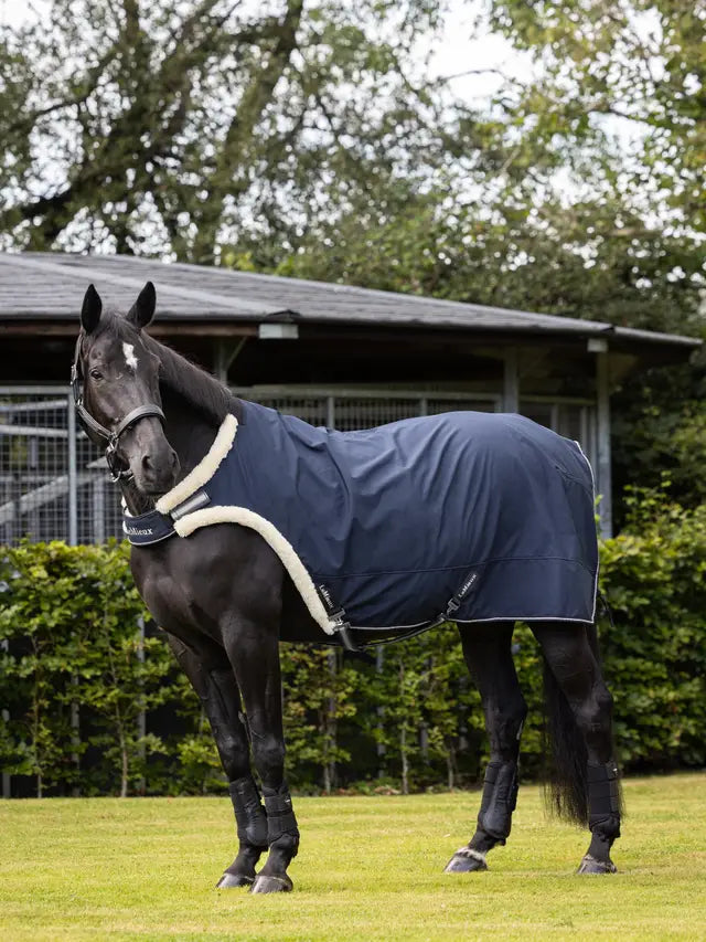 Horse rug for walkers and lunging