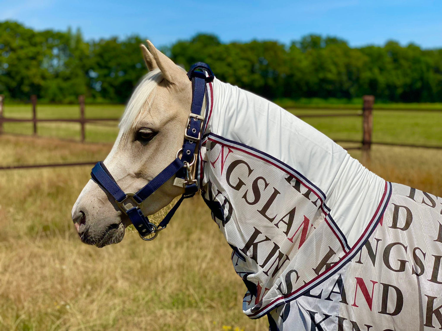 best fly rug with neck