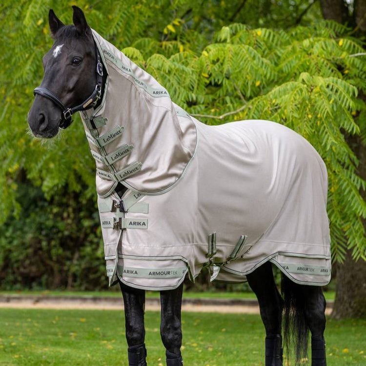 anti-fly rugs for horses