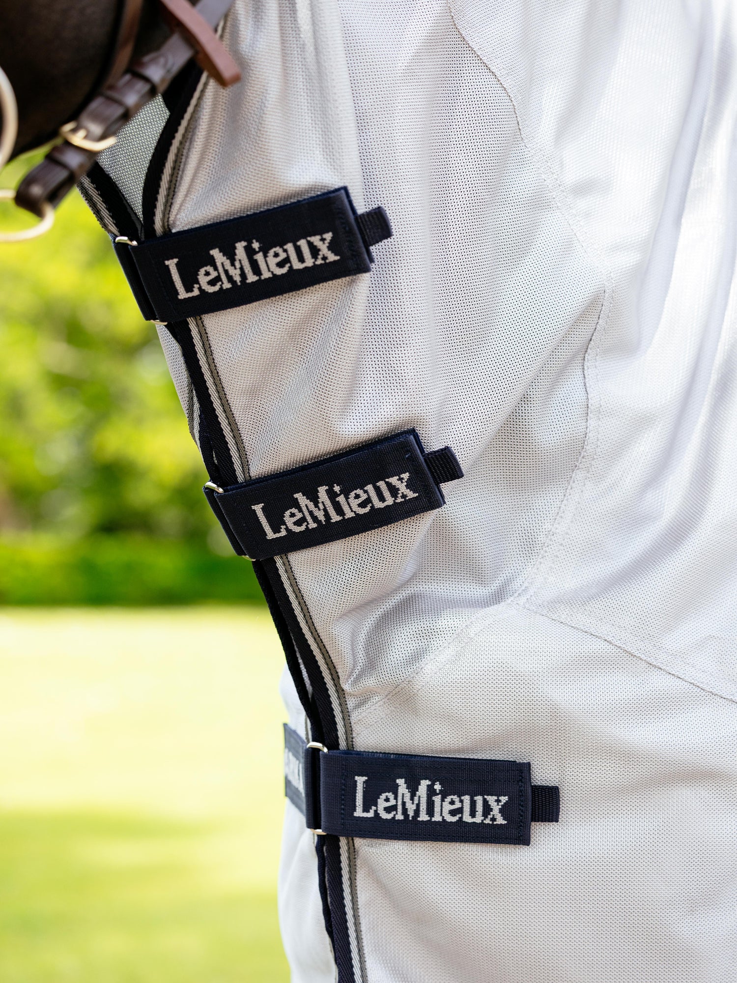 Close up of horse wearing LeMieux ride on fly sheet