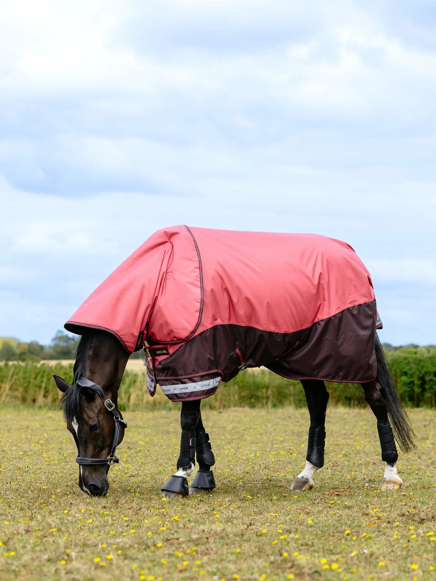 LeMieux Arika Ripstop turnout rug cranberry 0g