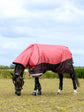 LeMieux Arika Ripstop turnout rug cranberry 0g