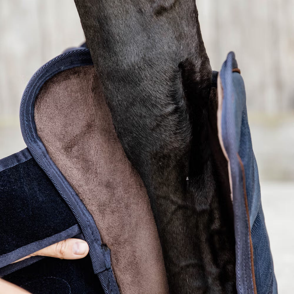 Horse travel boots for show season to protect legs during transport.