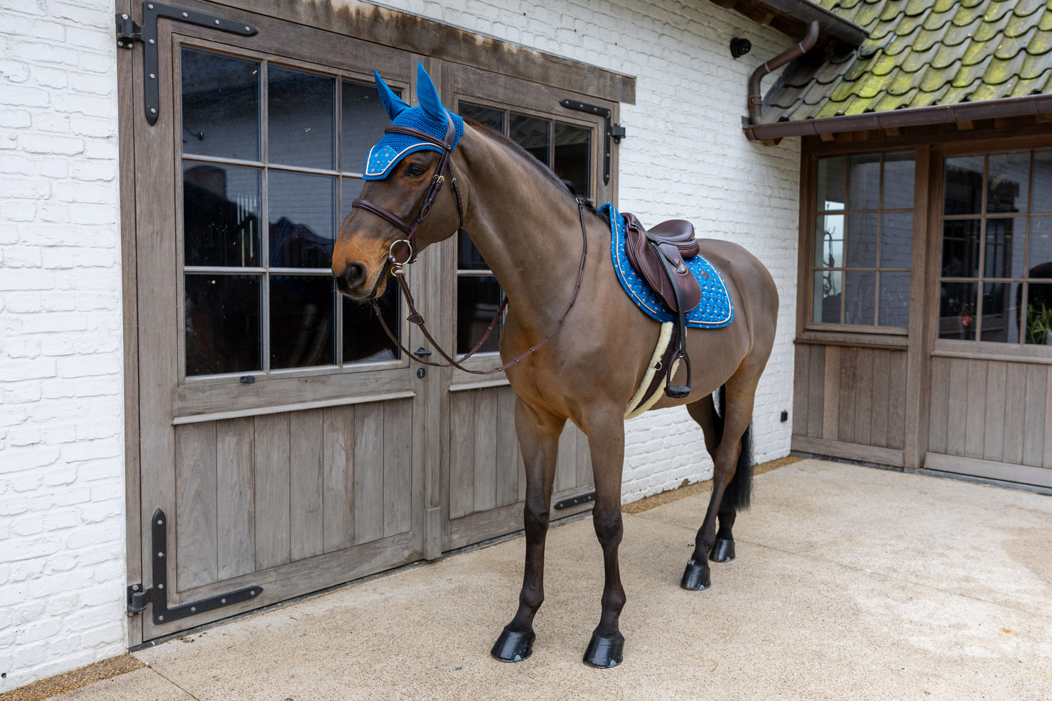 Kentucky Fly Veil Wellington Velvet Horse Printing with distinctive horse design