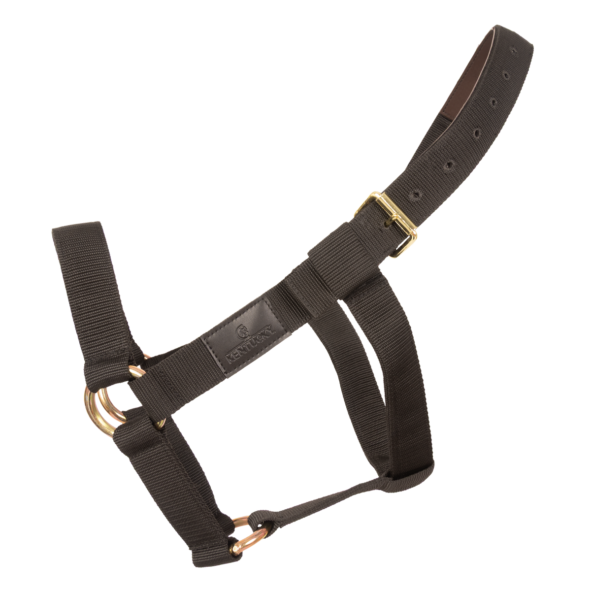 Kentucky Heavy Duty Halter featuring metal rings on the noseband