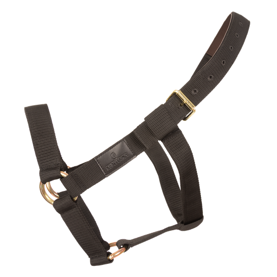 Kentucky Heavy Duty Halter featuring metal rings on the noseband