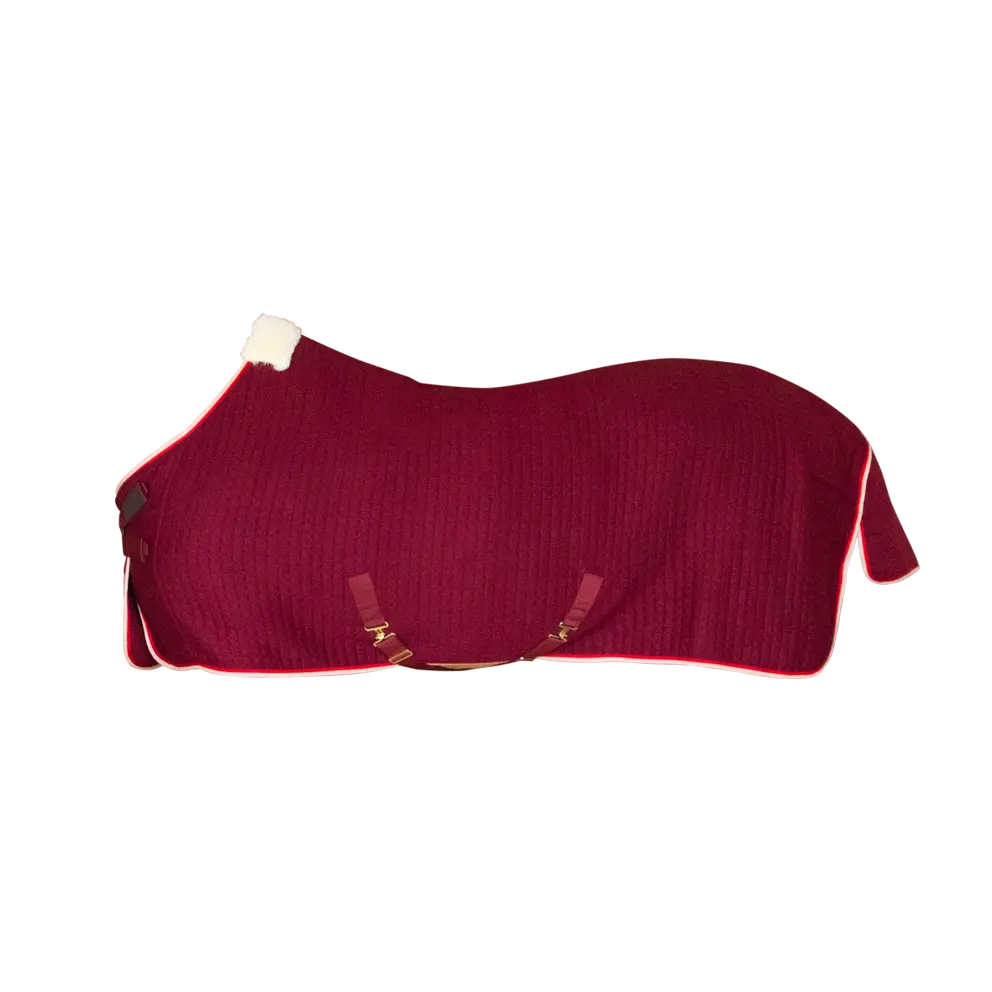 Kentucky Horsewear Cooler Rug Protherm with advanced thermoregulation technology.