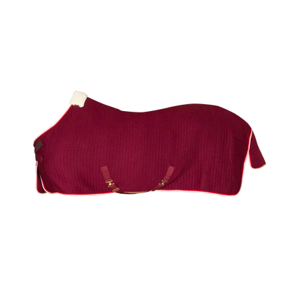 Kentucky Horsewear Cooler Rug Protherm with advanced thermoregulation technology.