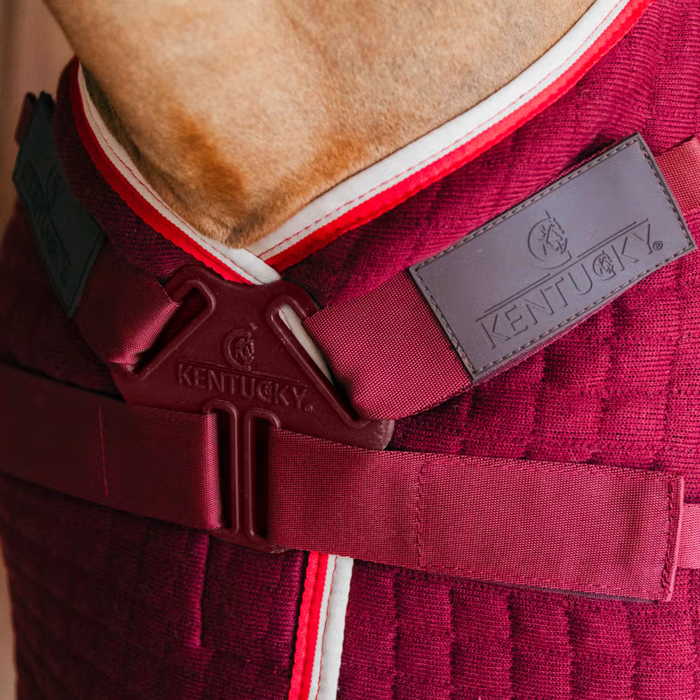 Kentucky Horsewear Protherm horse rug for use during the cooler months.