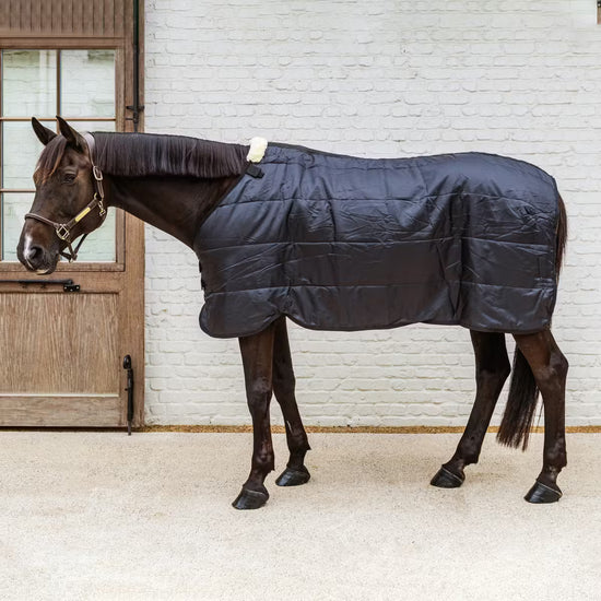 Kentucky Horsewear Turnout Comfort Liner 300g for additional warmth in cold weather.