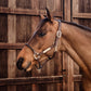 Premium horse halter combining vegan leather, rope noseband and gold hardware.