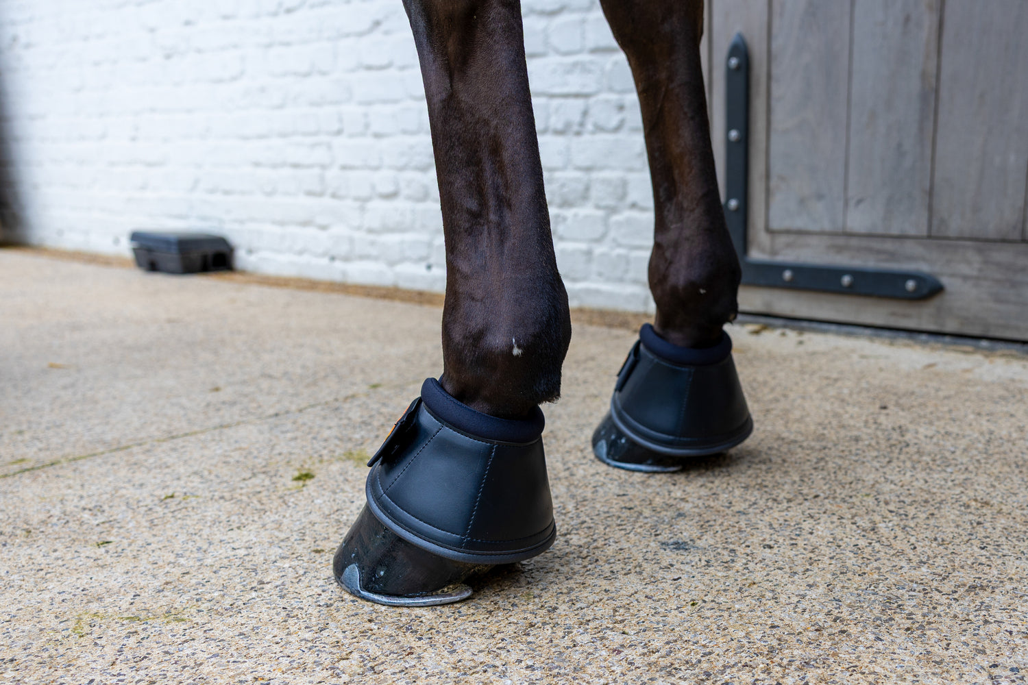 Kentucky Overreach Boots Pro with integrated do-not-turn ball