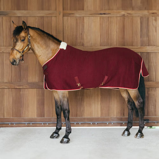 Kentucky Protherm Cooler Rug designed for transport and efficient drying.
