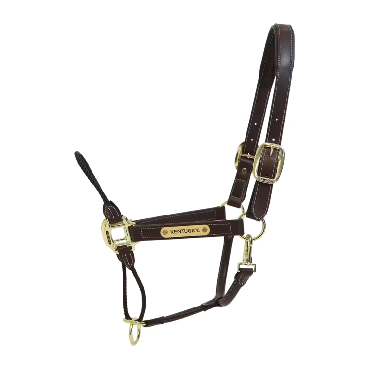 Kentucky rope halter for strong horses requiring additional control on the ground.