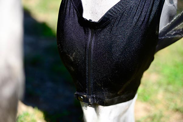 Fly mask with zip