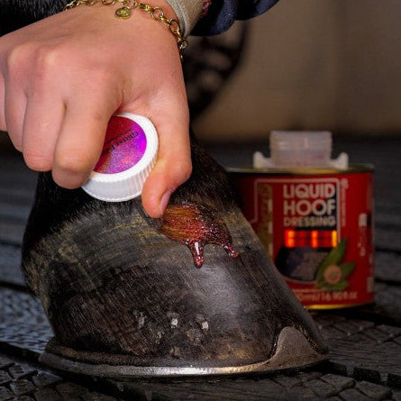 Kevin Bacon hoof care oil with brush