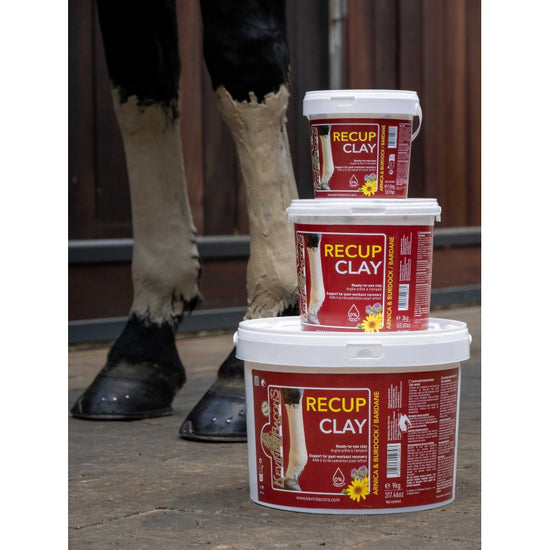 Kevin Bacon clay for tendon recovery