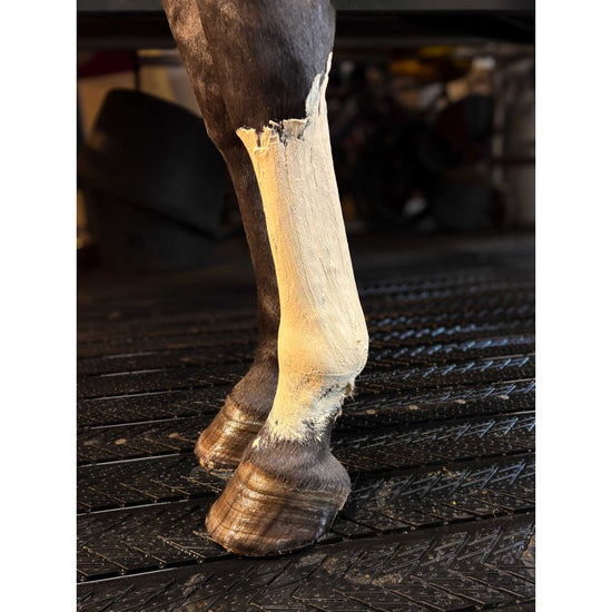 Ready to use recovery clay for horses