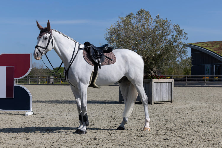 Elegant jumping saddle pad by Kingsland