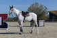 Elegant jumping saddle pad by Kingsland