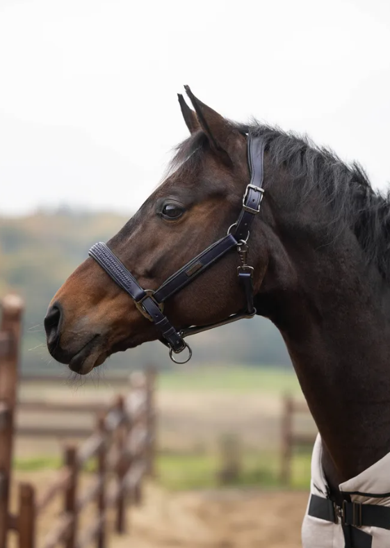 Kingsland Leather Halter KLNeville crafted from genuine leather