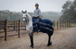 Kingsland wool blanket designed to help keep the horse&