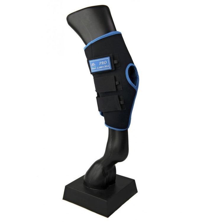 Therapy boots for horse hocls