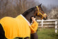 Lauria Garrelli Cooler Arezzo for a coordinated equestrian look.