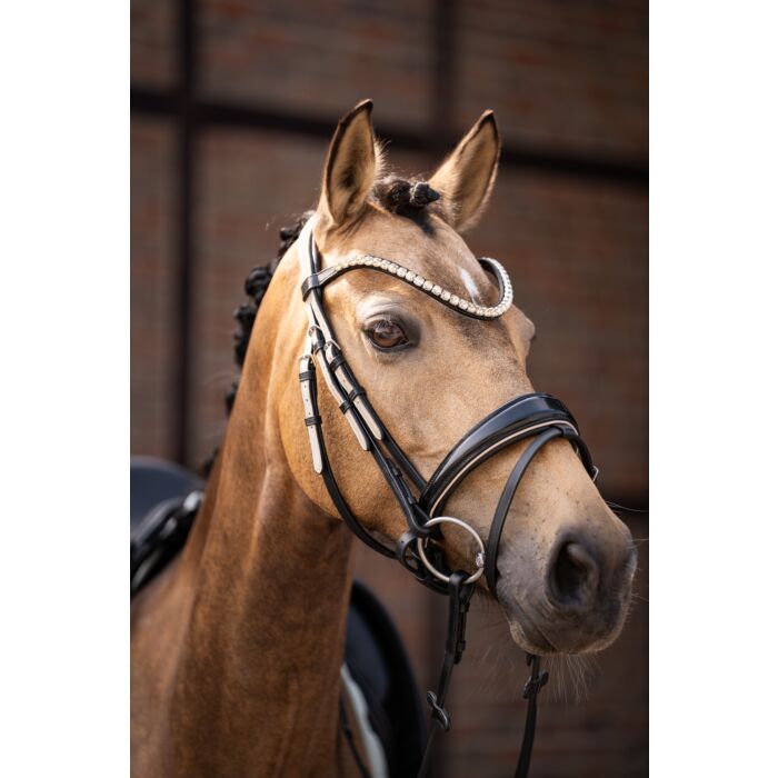 Lauria Garrelli Bridle Limone Elegant