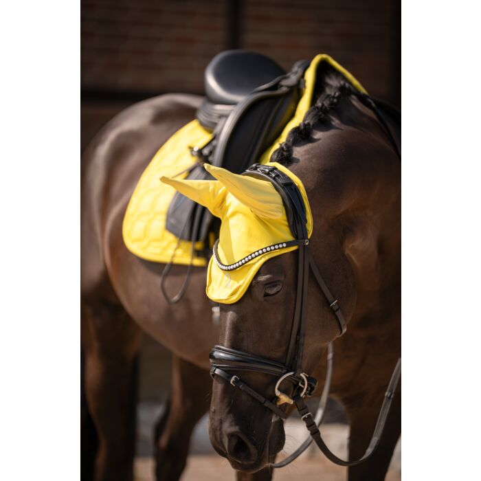 Lauria Garrelli Limone fly bonnet horse