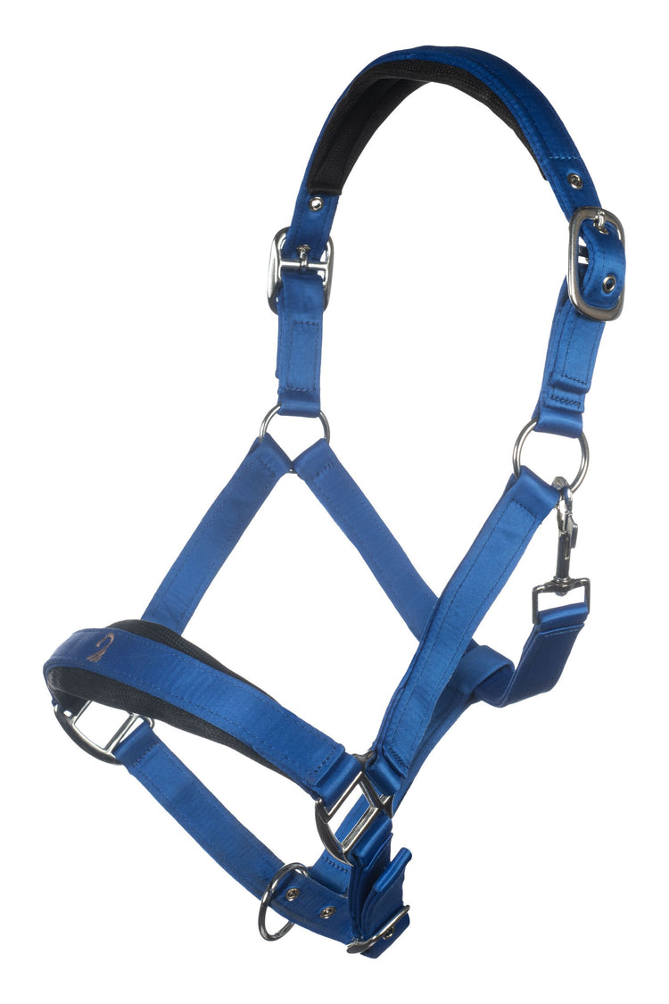 Lauria Garrelli Amalfi horse halter for everyday handling.