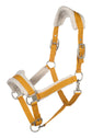 Lauria Garrelli Arezzo head collar for everyday horse handling.