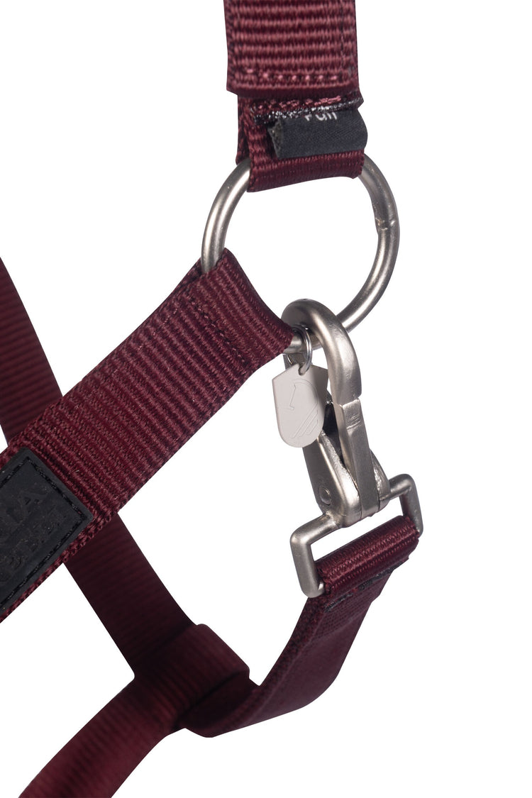 Laura Garrelli Halter