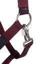 Laura Garrelli Halter