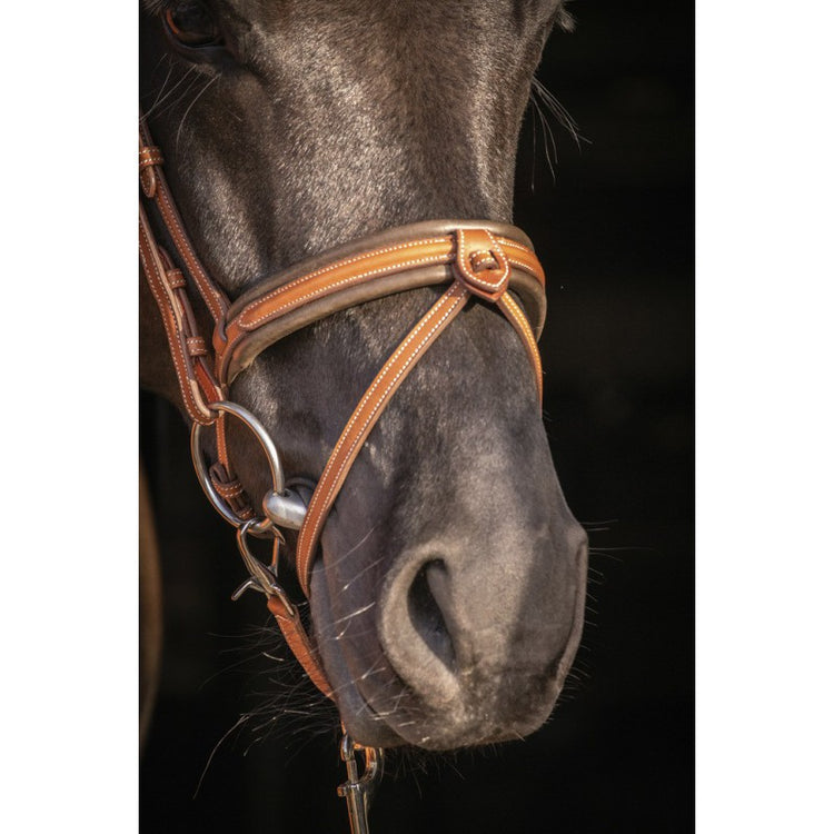 Leather bridle with padded headpiece for comfortable horse tack.