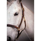 Two-tone leather halter for horses with brass fittings