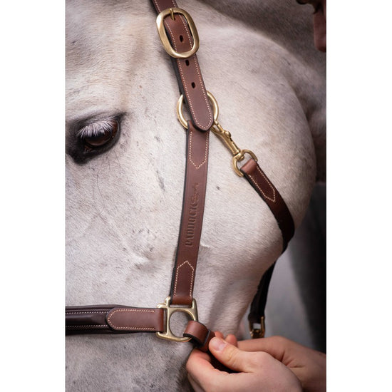 Paddock Comfortable leather halter for everyday riding use