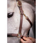 Paddock Comfortable leather halter for everyday riding use