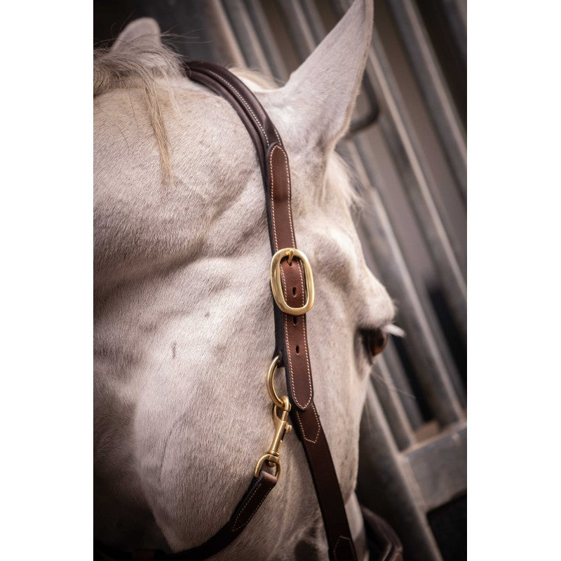 Paddock horse halter with reinforced headpiece
