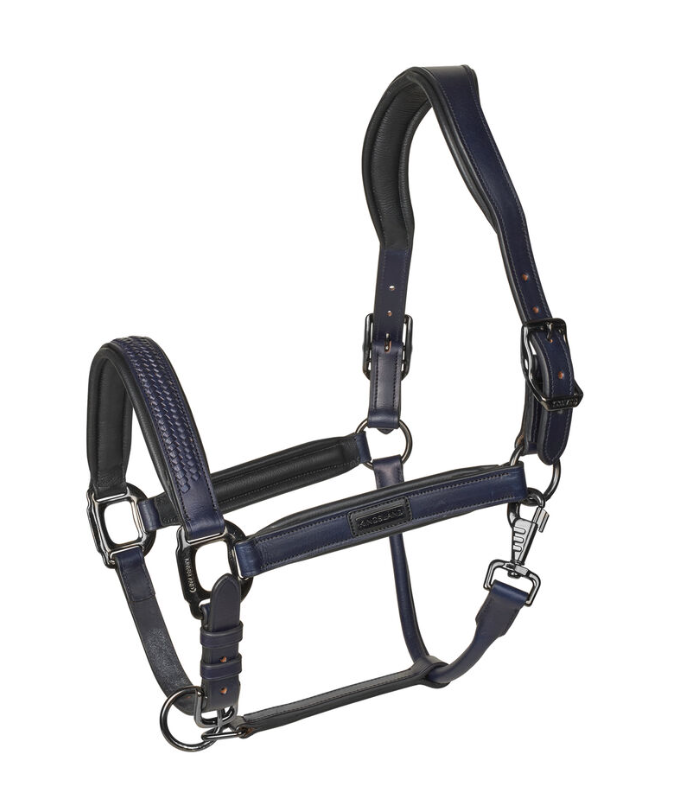 Leather halter suitable for everyday stable use and horse transport