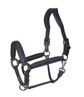 Leather halter suitable for everyday stable use and horse transport
