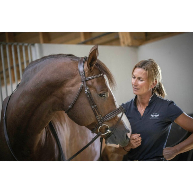 Penelope Daily equestrian bridle with classic styling.