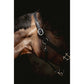 Leather horse halter with sparkling rhinestones across the noseband and elegant stitching.