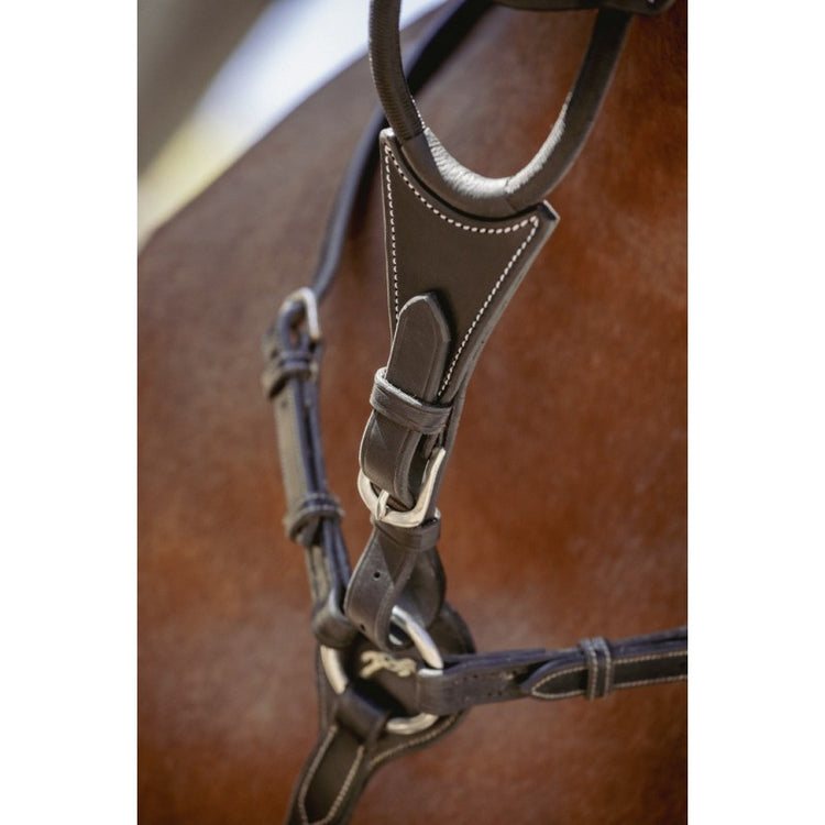 Leather martingale attachment with elastic straps and contrasting cream stitching.