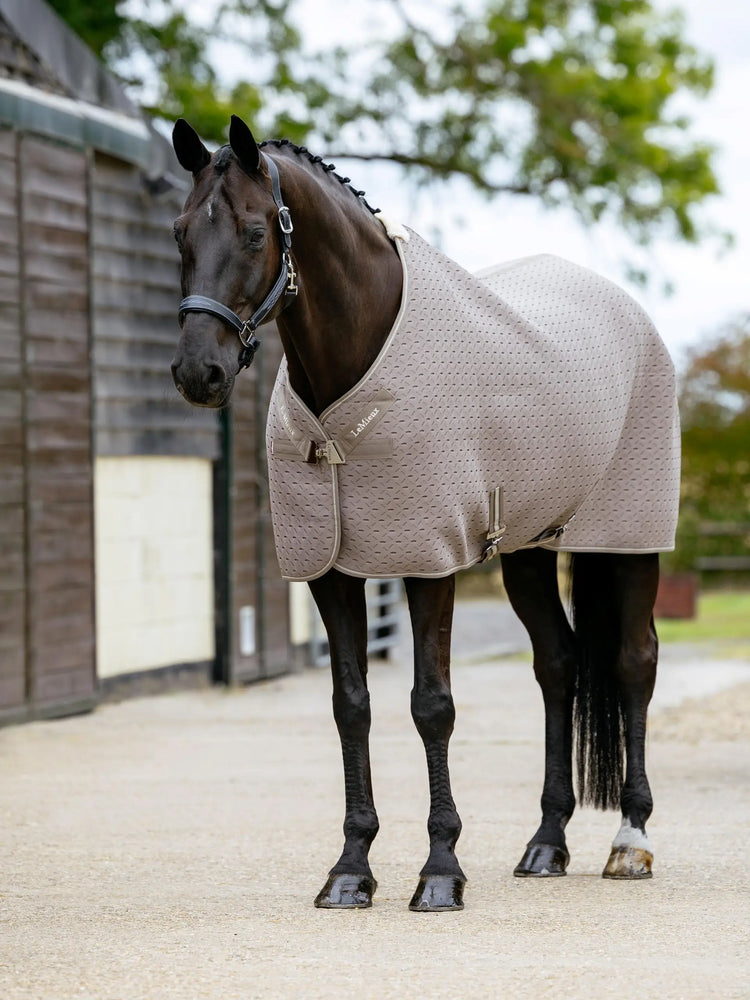 LeMieux 3D mesh travel rug