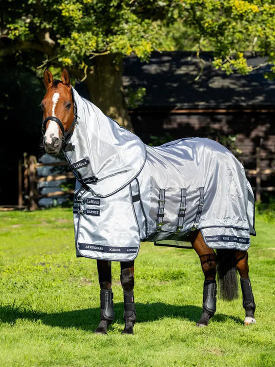 Premium fly rug for horses
