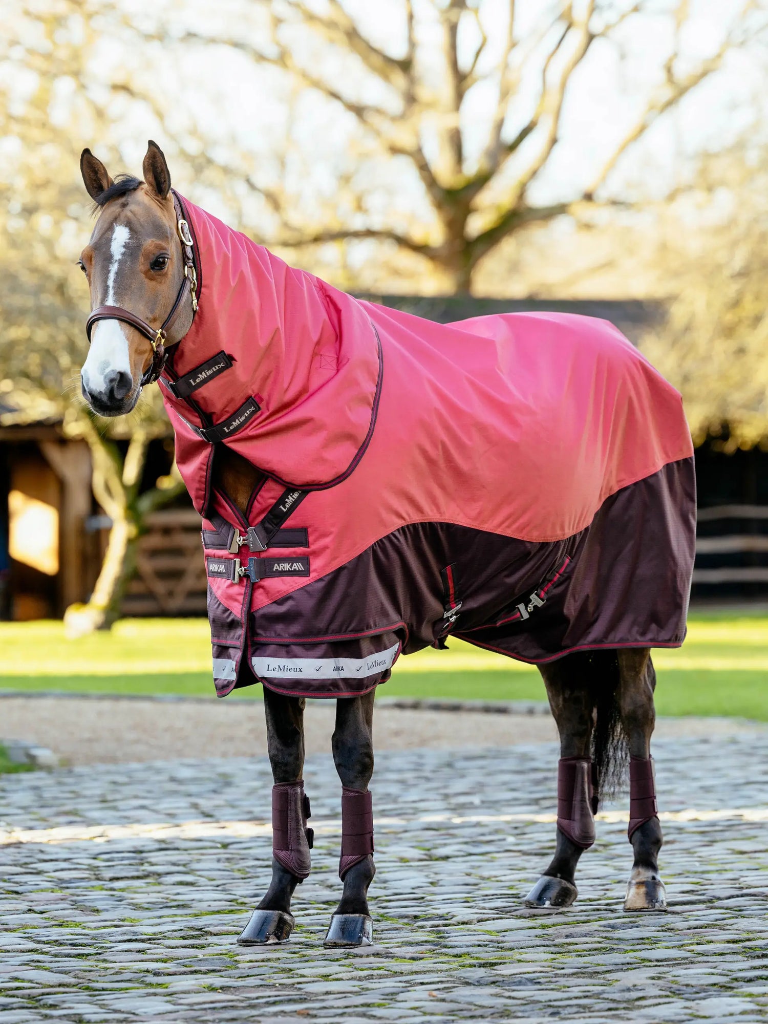Durable 0g turnout blanket