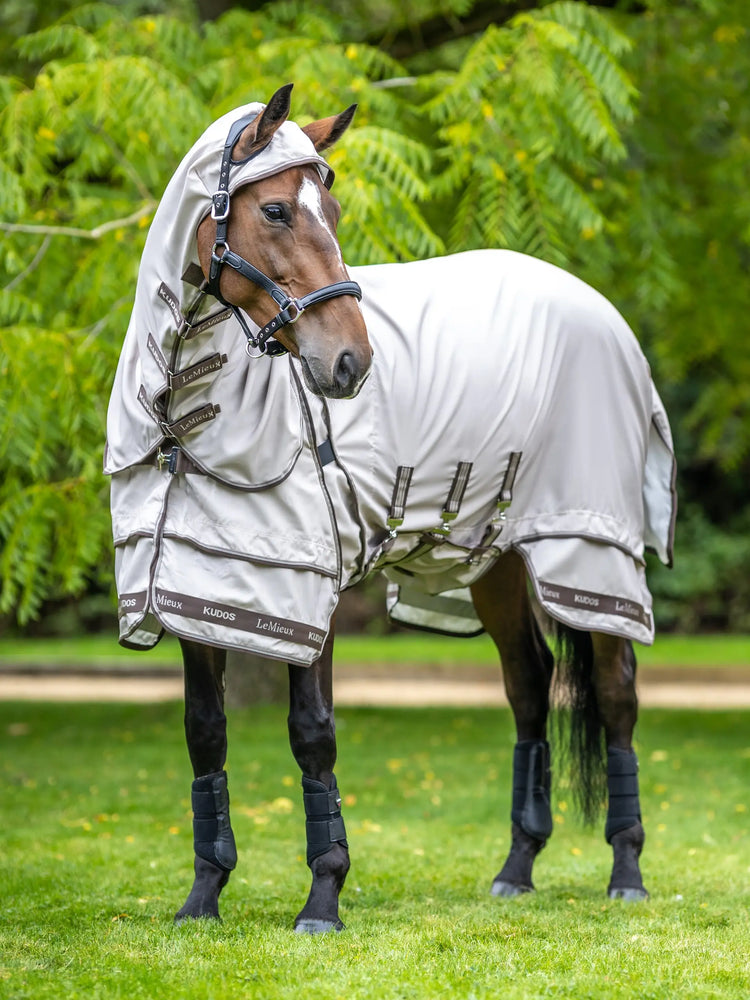 Sweet itch fly rug for horses